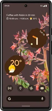 Google Pixel 6